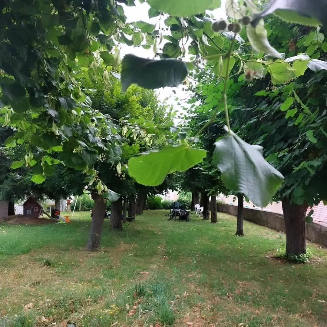 Guest house Aux Tilleuls De Renaison